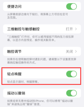 麻阳苹果授权维修站分享iPhone轻点无法唤醒怎么办 