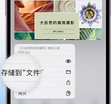 麻阳apple维修中心分享iPhone文件应用中存储和找到下载文件