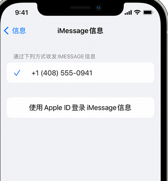 麻阳apple维修iPhone上无法正常发送iMessage信息 