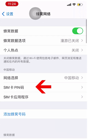 麻阳苹果14维修网分享如何给iPhone14的SIM卡设置密码 