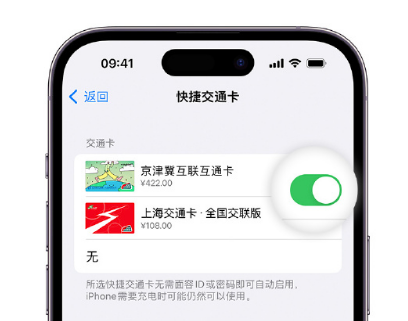 麻阳apple维修点分享iPhone上更换Apple Pay快捷交通卡手绘卡面 