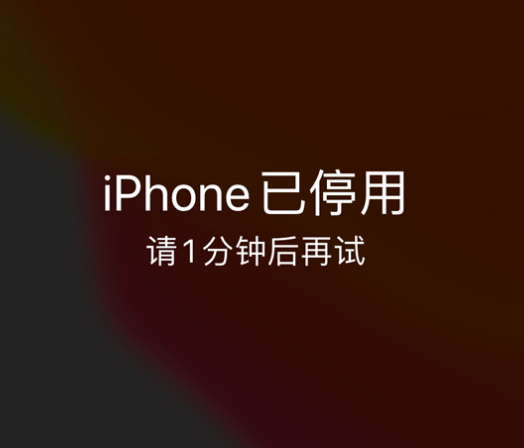 麻阳苹果手机维修分享:iPhone 显示“不可用”或“已停用”怎么办？还能保留数据吗？ 