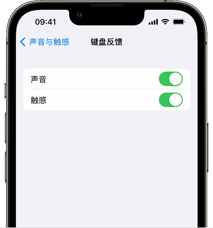 麻阳苹果14维修店分享如何在 iPhone 14 机型中使用触感键盘 