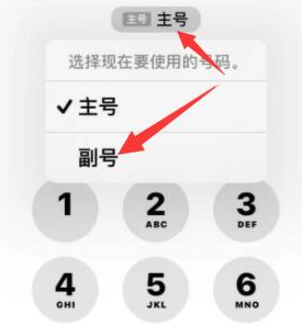 麻阳苹果14维修店分享iPhone 14 Pro Max使用副卡打电话的方法 