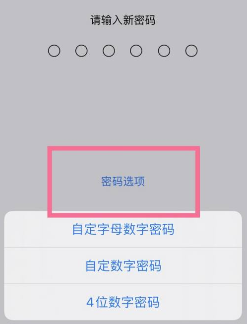 麻阳苹果14维修分享iPhone 14plus设置密码的方法 