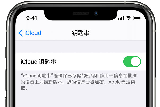 麻阳苹果手机维修分享在 iPhone 上开启 iCloud 钥匙串之后会储存哪些信息 