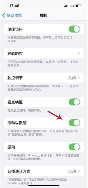 麻阳苹果手机维修分享iPhone手机如何设置摇一摇删除文字 