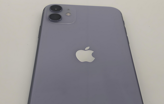 麻阳苹果11系统维修分享iPhone11手机系统崩溃无法开机如何解决 